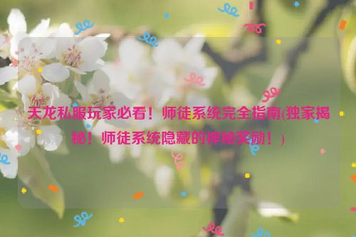 天龙私服玩家必看！师徒系统完全指南(独家揭秘！师徒系统隐藏的神秘奖励！)