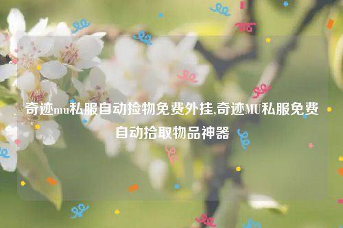 奇迹mu私服自动捡物免费外挂,奇迹MU私服免费自动拾取物品神器