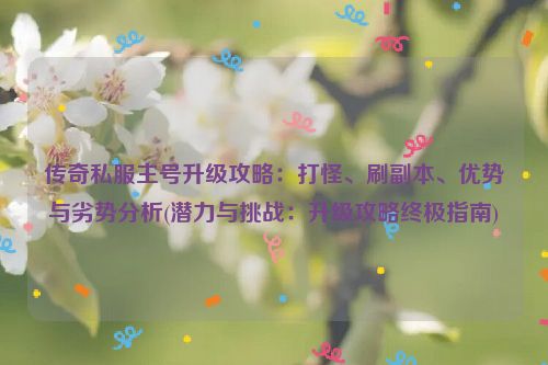 传奇私服主号升级攻略：打怪、刷副本、优势与劣势分析(潜力与挑战：升级攻略终极指南)