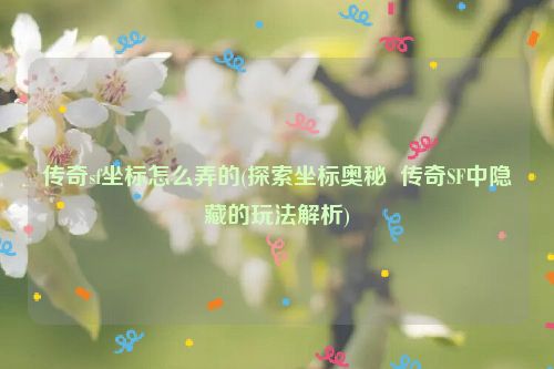 传奇sf坐标怎么弄的(探索坐标奥秘  传奇SF中隐藏的玩法解析)