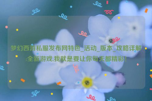 梦幻西游私服发布网特色_活动_版本_攻略详解:全新游戏,我就是要让你每天都精彩！