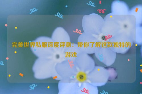 完美世界私服深度评测：带你了解这款独特的游戏