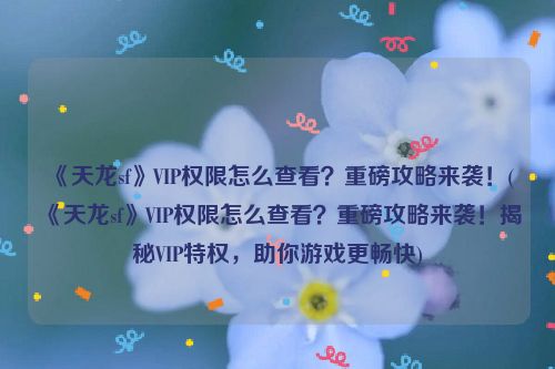 《天龙sf》VIP权限怎么查看？重磅攻略来袭！(《天龙sf》VIP权限怎么查看？重磅攻略来袭！揭秘VIP特权，助你游戏更畅快)