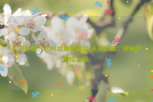 天龙私服：如何给角色祝福(天龙私服：神秘的祝福之旅)