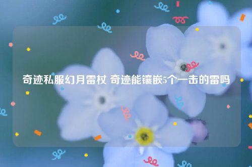 奇迹私服幻月雷杖 奇迹能镶嵌5个一击的雷吗