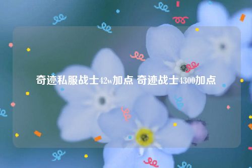 奇迹私服战士42w加点 奇迹战士4300加点