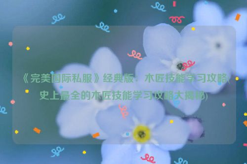 《完美国际私服》经典版：木匠技能学习攻略(史上最全的木匠技能学习攻略大揭秘)