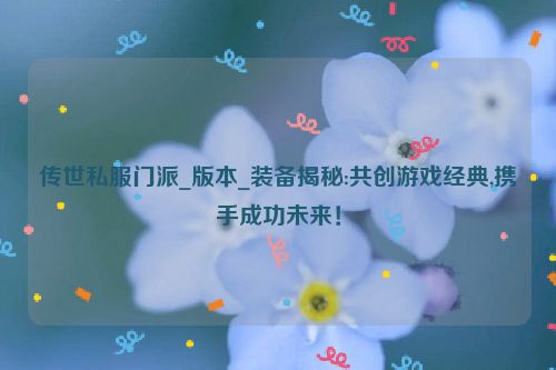 传世私服门派_版本_装备揭秘:共创游戏经典,携手成功未来！