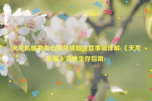 天龙私服游戏心得及领取注意事项详解(《天龙私服》游戏生存指南)