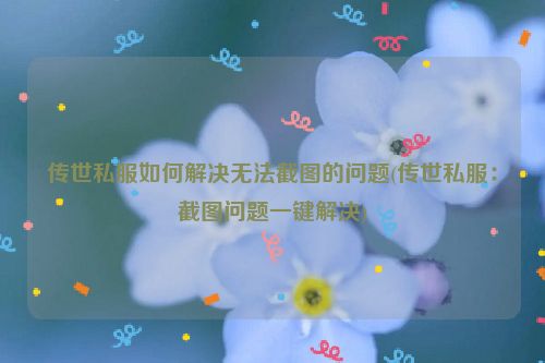 传世私服如何解决无法截图的问题(传世私服：截图问题一键解决)