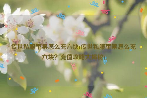 传世私服苹果怎么充六块(传世私服苹果怎么充六块？充值攻略大揭秘)