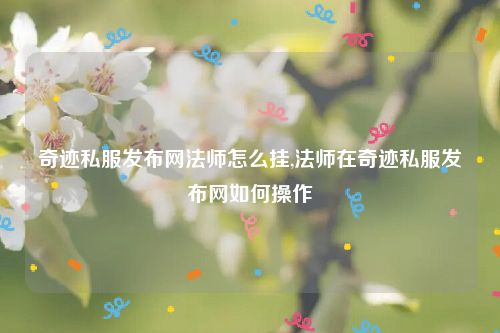 奇迹私服发布网法师怎么挂,法师在奇迹私服发布网如何操作