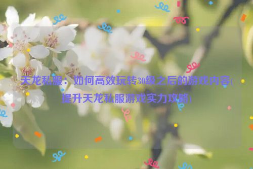 天龙私服：如何高效玩转30级之后的游戏内容(提升天龙私服游戏实力攻略)