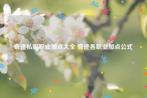 奇迹私服职业加点大全 奇迹各职业加点公式