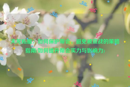 天龙私服：如何保护帮会，避免被宣战的策略指南(如何提升帮会实力与影响力)