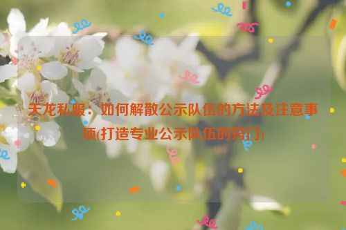 天龙私服：如何解散公示队伍的方法及注意事项(打造专业公示队伍的窍门)