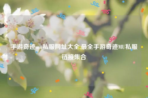 手游奇迹mu私服网址大全,最全手游奇迹MU私服链接集合