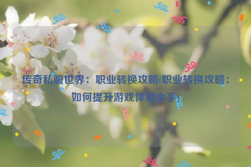 传奇私服世界：职业转换攻略(职业转换攻略：如何提升游戏体验水平)